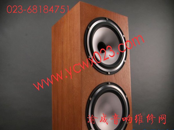 ʄTannoy Revolution XT 8Fl